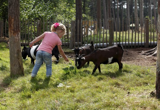 Spelen op Torentjeshoek (6).jpg