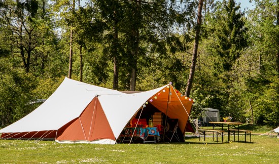 Kamperen bij familiecamping in drenthe.jpg