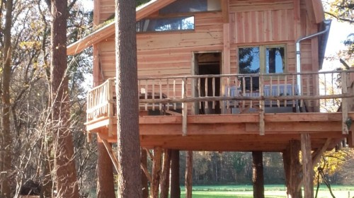 Treehouse (Boomhut XXL) (2).jpg