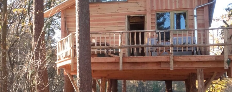 Treehouse (Boomhut XXL) (2).jpg