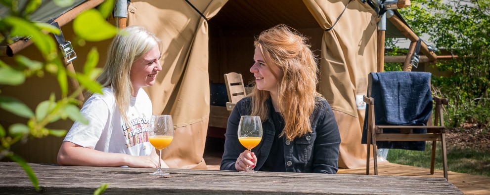 Torentjeshoek 2020 tenthuisjes grote veld-28.jpg