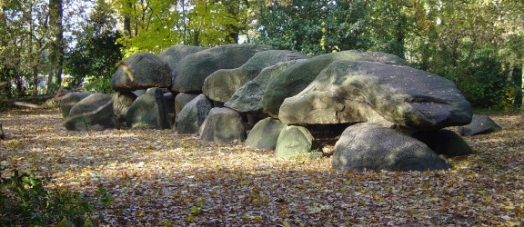 D27_884.JPG