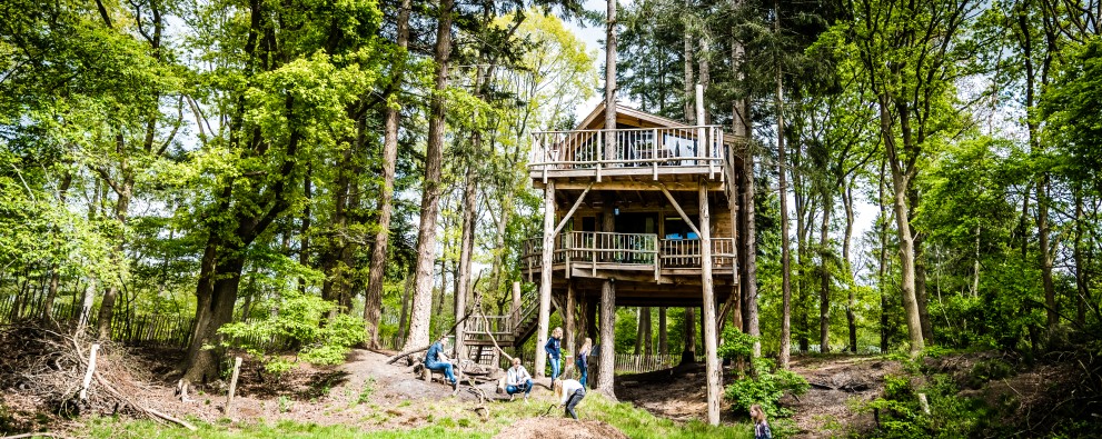 Treehouse (Boomhut XXL) (13).jpg