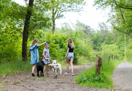 Gezellig met de hond Torentjeshoek.jpg