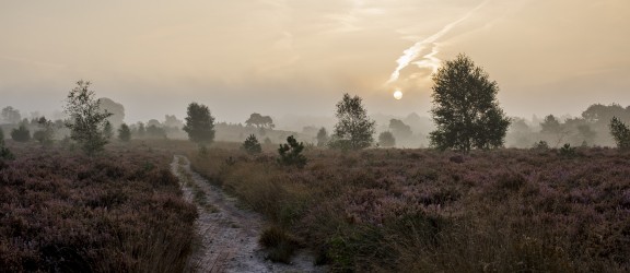 algemene plaatjes Sallandse Heuvelrug (1).jpeg
