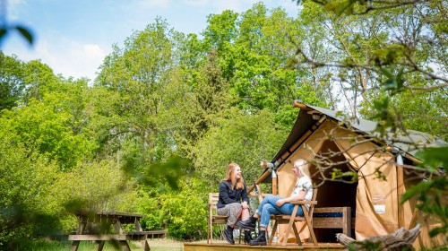 Torentjeshoek 2020 tenthuisjes grote veld-25.jpg