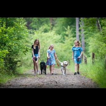 Torentjeshoek Honden-7.jpg
