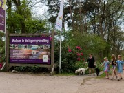 Wandelen.jpg