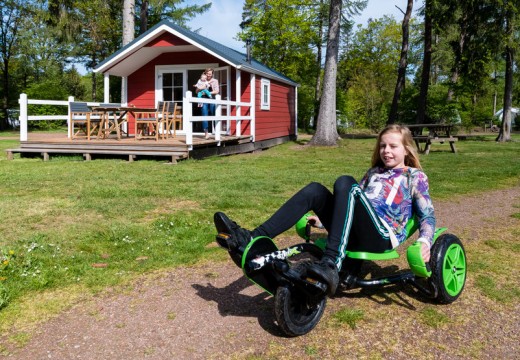 Skelteren bij Torentjeshoek.jpg