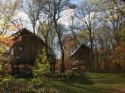Boomhutten sfeerbeeld (2).JPG