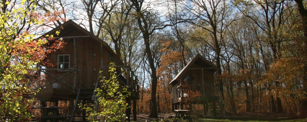 Boomhutten sfeerbeeld (2).JPG