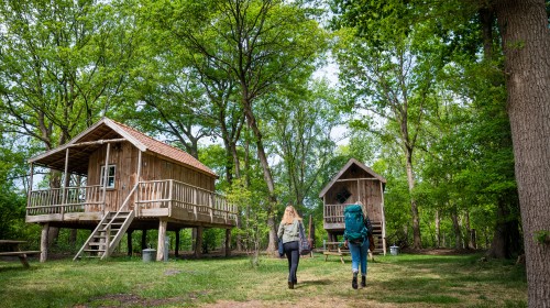 Torentjeshoek 2020 Lopen naar Boomhut type 1 - veld 40