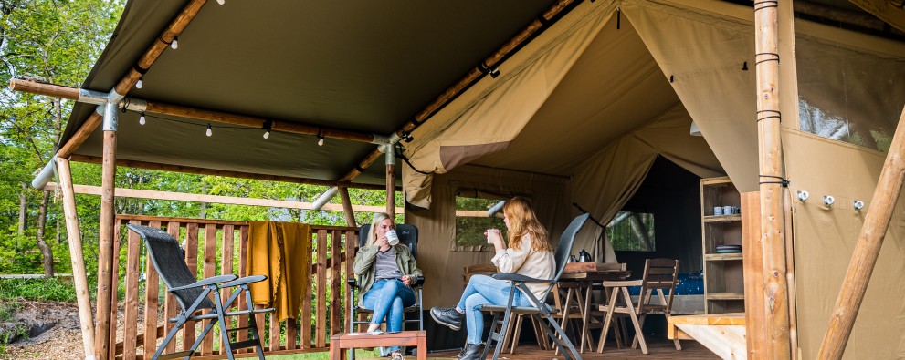 Torentjeshoek 2020 tenthuisjes grote veld-5.jpg