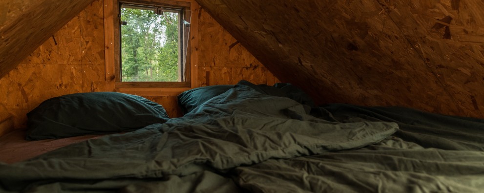 Torentjeshoek 2020 kleine boomhutten-35.jpg