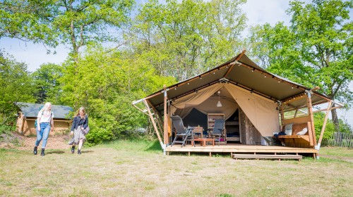 Torentjeshoek 2020 tenthuisjes grote veld-21.jpg