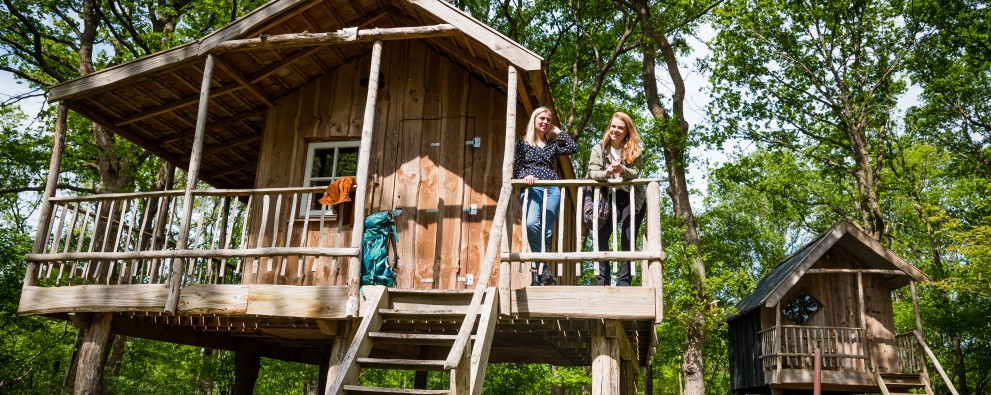 Torentjeshoek 2020 Boomhut type 2 - veld 29